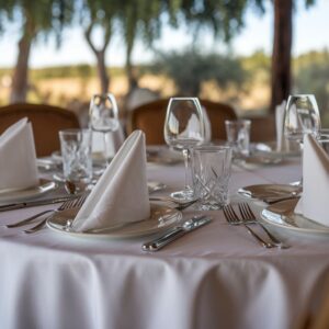 Πετσέτες ( χειροπετσέτες ) φαγητού DIOGENIS (200 ΤΕΜΑΧΙΑ)100-24-173-01